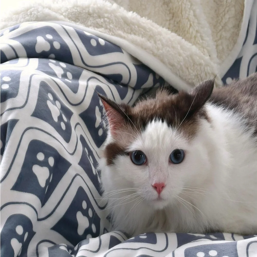 Advanced Water Resistant Pets Print Comfort Throw, 60